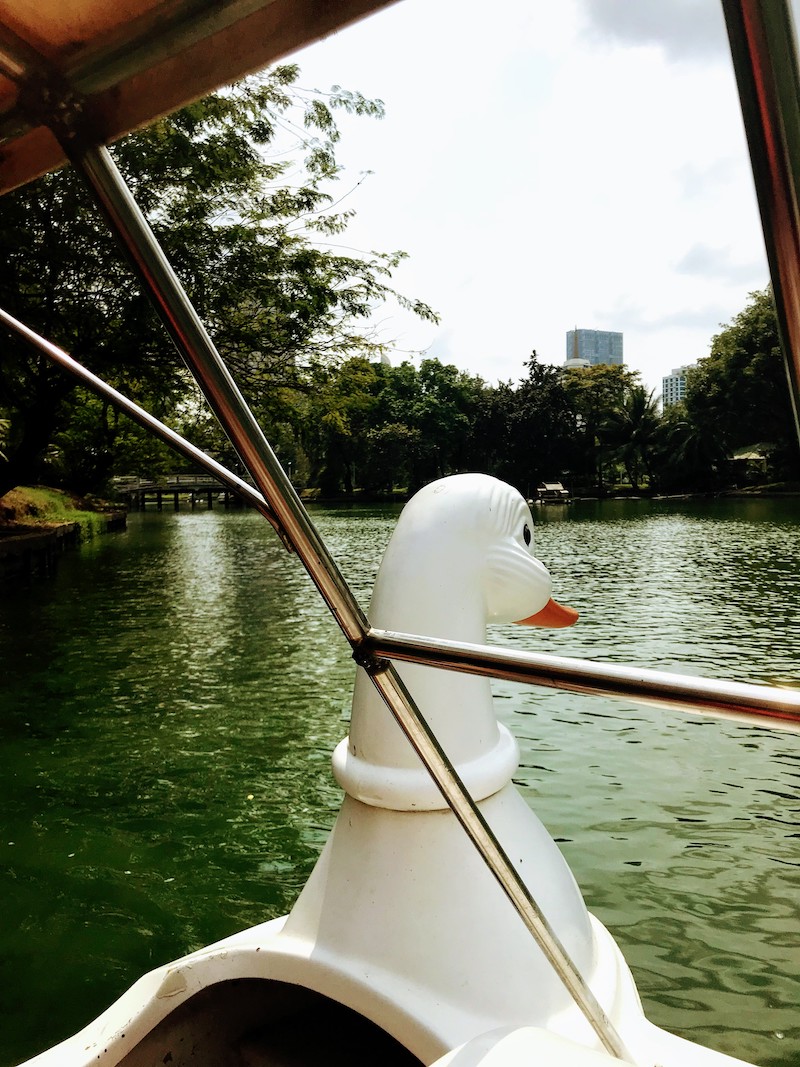 Paddle boats at Lumpini Park Bangkok
